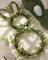 Easter Bunny Spring Wreath with Egg, Twig and Berries Green Rabbit Easter Wreath for Front Door Decorations Home Farmhouse Outdoor Indoor Wall Mantel Window